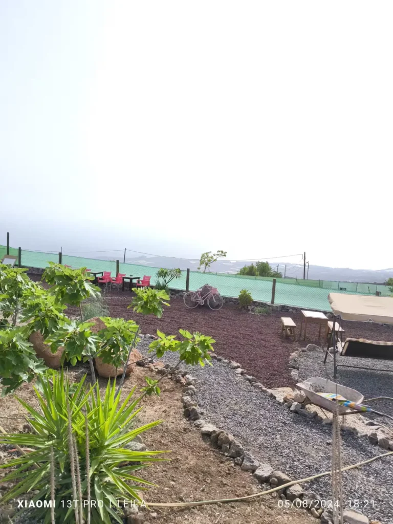 Finca las vistas sur de Tenerife exterior 19
